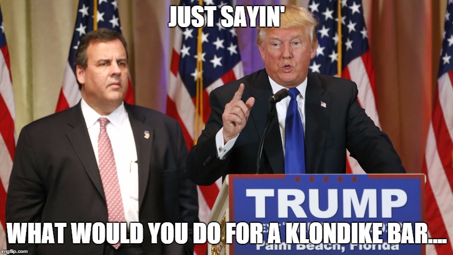 Chris Christie | JUST SAYIN'; WHAT WOULD YOU DO FOR A KLONDIKE BAR.... | image tagged in chris christie | made w/ Imgflip meme maker