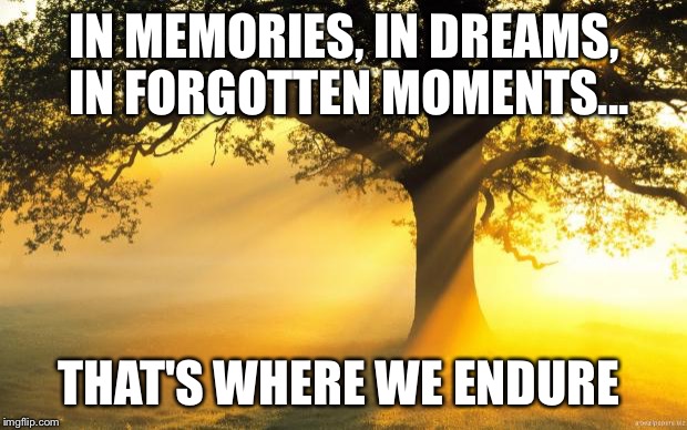 nature | IN MEMORIES, IN DREAMS, IN FORGOTTEN MOMENTS... THAT'S WHERE WE ENDURE | image tagged in nature | made w/ Imgflip meme maker