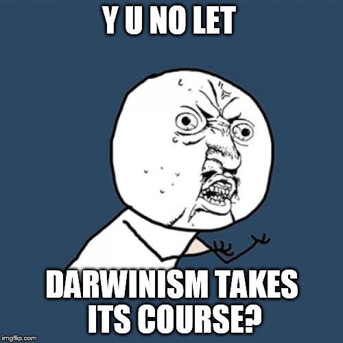 Y U No Meme | Y U NO LET DARWINISM TAKES ITS COURSE? | image tagged in memes,y u no | made w/ Imgflip meme maker