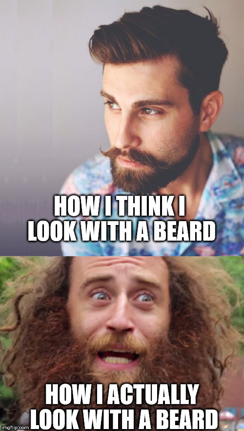 How I Actually Look with a Beard |  HOW I THINK I LOOK WITH A BEARD; HOW I ACTUALLY LOOK WITH A BEARD | image tagged in how i actually look with a beard | made w/ Imgflip meme maker
