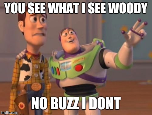 X, X Everywhere Meme | YOU SEE WHAT I SEE WOODY; NO BUZZ I DONT | image tagged in memes,x x everywhere | made w/ Imgflip meme maker