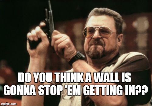 Am I The Only One Around Here Meme | DO YOU THINK A WALL IS GONNA STOP 'EM GETTING IN?? | image tagged in memes,am i the only one around here,donald trump,guns,illegal immigration,wall | made w/ Imgflip meme maker