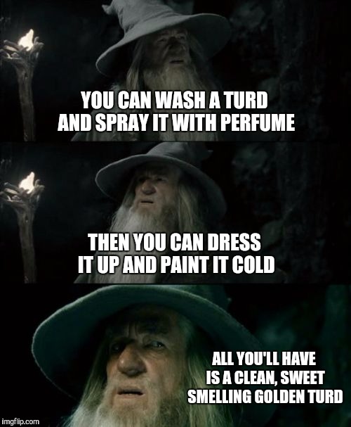 Confused Gandalf Meme | YOU CAN WASH A TURD AND SPRAY IT WITH PERFUME; THEN YOU CAN DRESS IT UP AND PAINT IT COLD; ALL YOU'LL HAVE IS A CLEAN, SWEET SMELLING GOLDEN TURD | image tagged in memes,confused gandalf | made w/ Imgflip meme maker