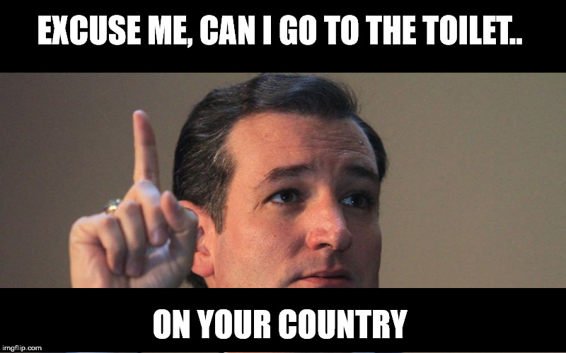 Ted Cruz | EXCUSE ME, CAN I GO TO THE TOILET.. ON YOUR COUNTRY | image tagged in ted cruz | made w/ Imgflip meme maker