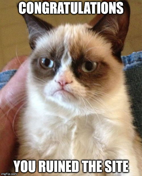 Grumpy Cat Meme | CONGRATULATIONS; YOU RUINED THE SITE | image tagged in memes,grumpy cat | made w/ Imgflip meme maker