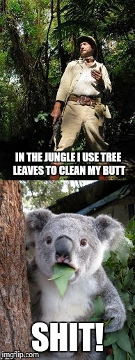 Koala and jungle guy | IN THE JUNGLE I USE TREE LEAVES TO CLEAN MY BUTT; SHIT! | image tagged in suprised koala,jungle man | made w/ Imgflip meme maker