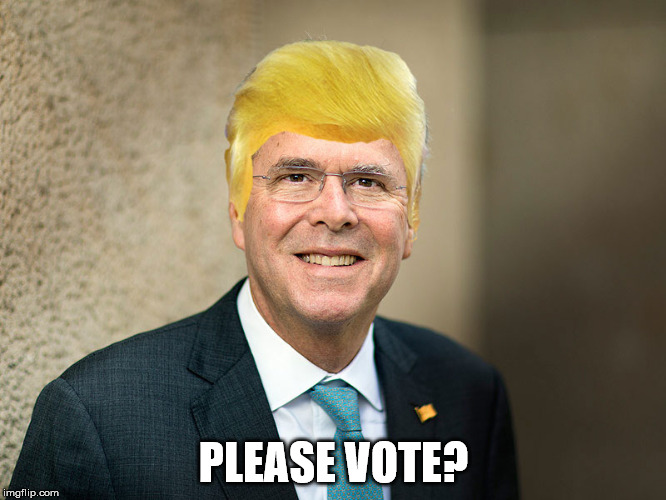 Jeb Trump Bush Hair  | PLEASE VOTE? | image tagged in jeb trump bush hair | made w/ Imgflip meme maker