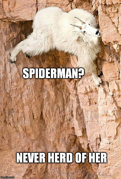 Rock-Climbing Goats | SPIDERMAN? NEVER HERD OF HER | image tagged in animals | made w/ Imgflip meme maker