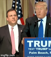 #freechrischristie | image tagged in gifs,help | made w/ Imgflip video-to-gif maker