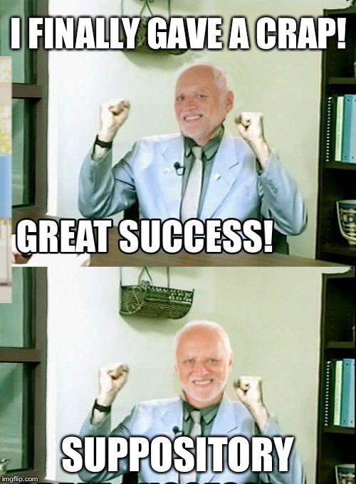 Great Success Harold | I FINALLY GAVE A CRAP! SUPPOSITORY | image tagged in great success harold,memes | made w/ Imgflip meme maker