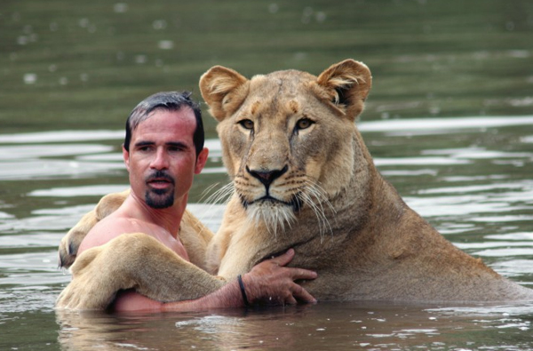 lion awkward romance Blank Meme Template