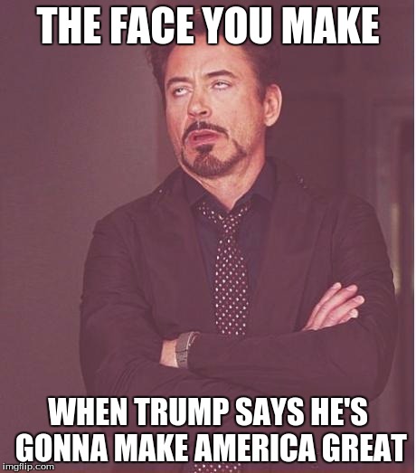 Greatly screwed would be better. | THE FACE YOU MAKE; WHEN TRUMP SAYS HE'S GONNA MAKE AMERICA GREAT | image tagged in memes,face you make robert downey jr | made w/ Imgflip meme maker