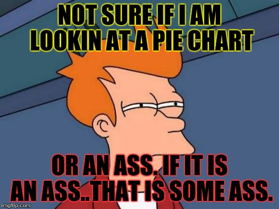 Futurama Fry Meme | NOT SURE IF I AM LOOKIN AT A PIE CHART OR AN ASS. IF IT IS AN ASS..THAT IS SOME ASS. | image tagged in memes,futurama fry | made w/ Imgflip meme maker