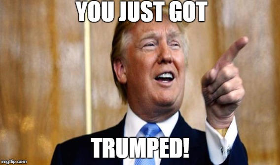 YOU JUST GOT; TRUMPED! | image tagged in donald trump,lolz,politics | made w/ Imgflip meme maker