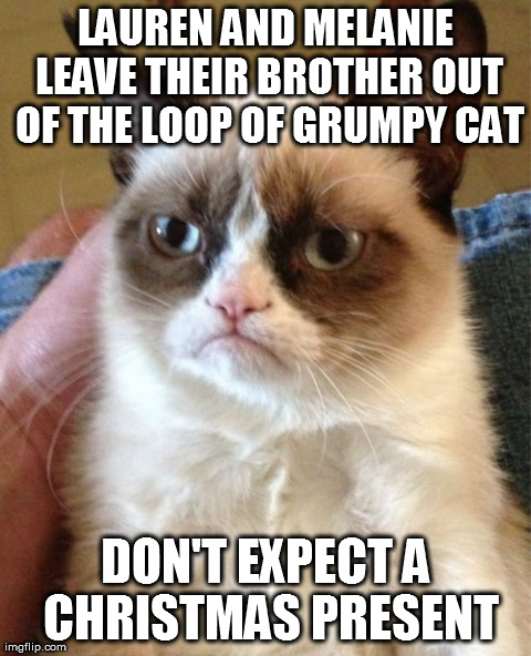Grumpy Cat Meme | LAUREN AND MELANIE LEAVE THEIR BROTHER OUT OF THE LOOP OF GRUMPY CAT DON'T EXPECT A CHRISTMAS PRESENT | image tagged in memes,grumpy cat | made w/ Imgflip meme maker