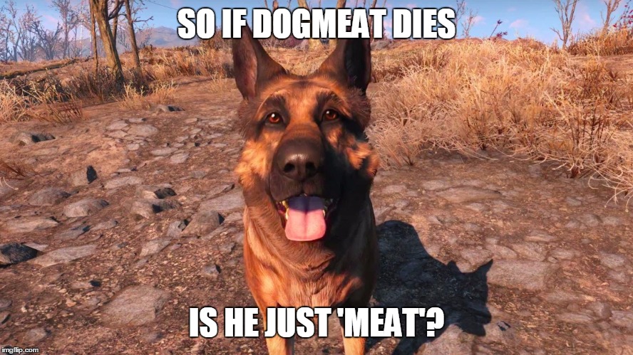 Deadmeat | SO IF DOGMEAT DIES; IS HE JUST 'MEAT'? | image tagged in dogmeat,fallout 4,fallout,video games,dogs,animals | made w/ Imgflip meme maker