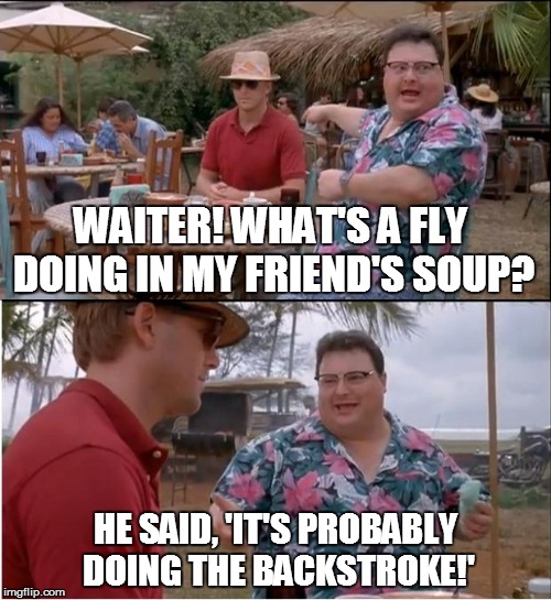 See Nobody Cares That I Reposted My Own Repost | WAITER! WHAT'S A FLY DOING IN MY FRIEND'S SOUP? HE SAID, 'IT'S PROBABLY DOING THE BACKSTROKE!' | image tagged in memes,see nobody cares,soup,scumbag house fly,swimming,funny memes | made w/ Imgflip meme maker