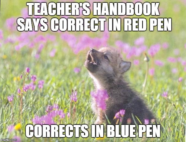 Baby Insanity Wolf Meme | TEACHER'S HANDBOOK SAYS CORRECT IN RED PEN; CORRECTS IN BLUE PEN | image tagged in memes,baby insanity wolf | made w/ Imgflip meme maker