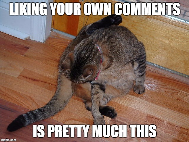 LIKING YOUR OWN COMMENTS; IS PRETTY MUCH THIS | image tagged in funny,cats | made w/ Imgflip meme maker
