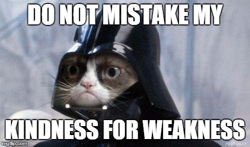 Grumpy Cat Star Wars Meme | DO NOT MISTAKE MY; KINDNESS FOR WEAKNESS | image tagged in memes,grumpy cat star wars,grumpy cat | made w/ Imgflip meme maker