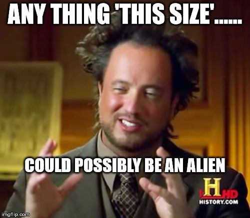 Ancient Aliens Meme | ANY THING 'THIS SIZE'...... COULD POSSIBLY BE AN ALIEN | image tagged in memes,ancient aliens | made w/ Imgflip meme maker