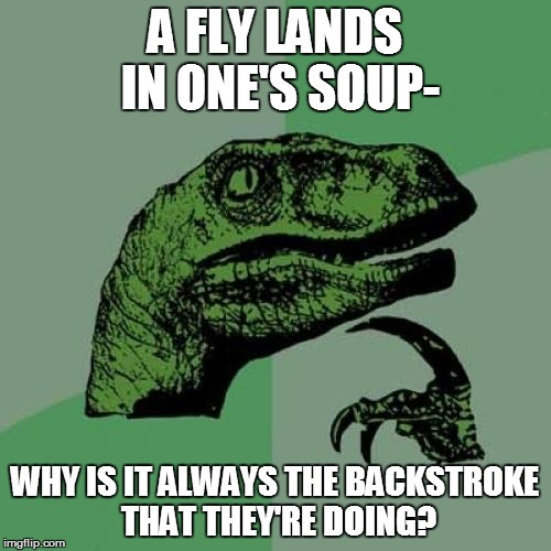 Philosoraptor Meme | A FLY LANDS IN ONE'S SOUP- WHY IS IT ALWAYS THE BACKSTROKE THAT THEY'RE DOING? | image tagged in memes,philosoraptor | made w/ Imgflip meme maker