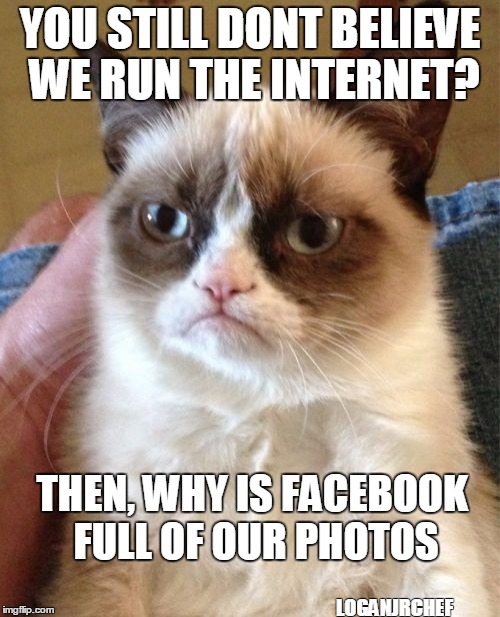 Grumpy Cat | YOU STILL DONT BELIEVE WE RUN THE INTERNET? THEN, WHY IS FACEBOOK FULL OF OUR PHOTOS; LOGANJRCHEF | image tagged in memes,grumpy cat | made w/ Imgflip meme maker