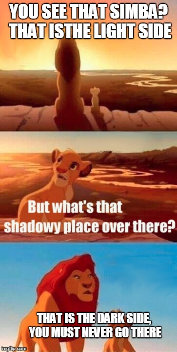 Simba Shadowy Place Meme | YOU SEE THAT SIMBA? THAT ISTHE LIGHT SIDE; THAT IS THE DARK SIDE, YOU MUST NEVER GO THERE | image tagged in memes,simba shadowy place | made w/ Imgflip meme maker