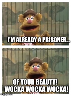 I'M ALREADY A PRISONER... OF YOUR BEAUTY!  WOCKA WOCKA WOCKA! | made w/ Imgflip meme maker