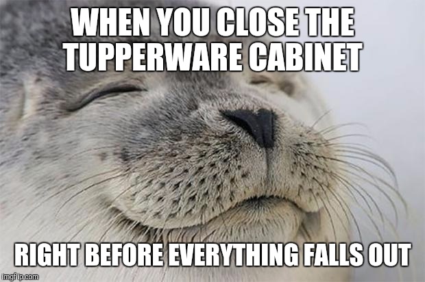 Satisfied Seal Meme | WHEN YOU CLOSE THE TUPPERWARE CABINET; RIGHT BEFORE EVERYTHING FALLS OUT | image tagged in memes,satisfied seal | made w/ Imgflip meme maker