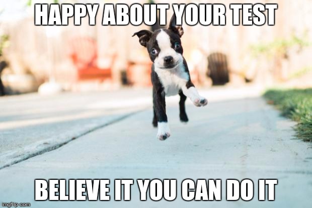 Happy Puppy | HAPPY ABOUT YOUR TEST; BELIEVE IT YOU CAN DO IT | image tagged in happy puppy | made w/ Imgflip meme maker