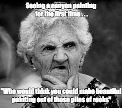 confused old lady | Seeing a canyon painting for the first time . . . "Who would think you could make beautiful painting out of those piles of rocks" | image tagged in confused old lady | made w/ Imgflip meme maker