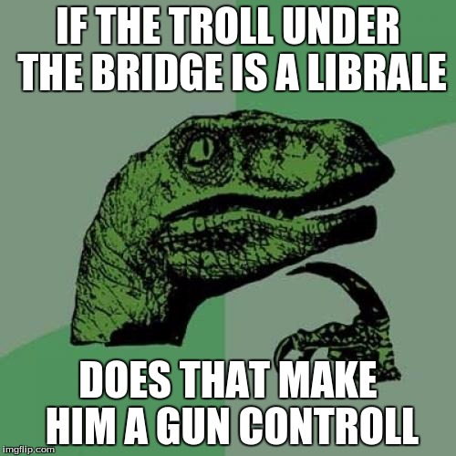 Philosoraptor | IF THE TROLL UNDER THE BRIDGE IS A LIBRALE; DOES THAT MAKE HIM A GUN CONTROLL | image tagged in memes,philosoraptor | made w/ Imgflip meme maker