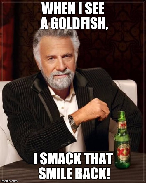 The Most Interesting Man In The World | WHEN I SEE A GOLDFISH, I SMACK THAT SMILE BACK! | image tagged in memes,the most interesting man in the world | made w/ Imgflip meme maker