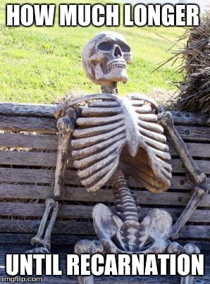 Waiting Skeleton | HOW MUCH LONGER; UNTIL RECARNATION | image tagged in memes,waiting skeleton | made w/ Imgflip meme maker