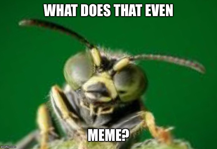 MR GREEN BUG | WHAT DOES THAT EVEN MEME? | image tagged in mr green bug | made w/ Imgflip meme maker