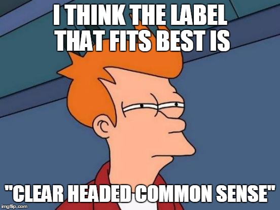 Futurama Fry Meme | I THINK THE LABEL THAT FITS BEST IS "CLEAR HEADED COMMON SENSE" | image tagged in memes,futurama fry | made w/ Imgflip meme maker