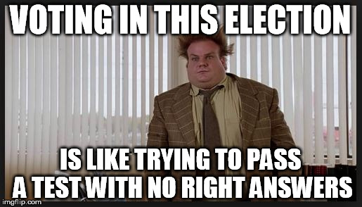 Voting this year | VOTING IN THIS ELECTION; IS LIKE TRYING TO PASS A TEST WITH NO RIGHT ANSWERS | image tagged in chris farley,tommy boy,politics,political | made w/ Imgflip meme maker