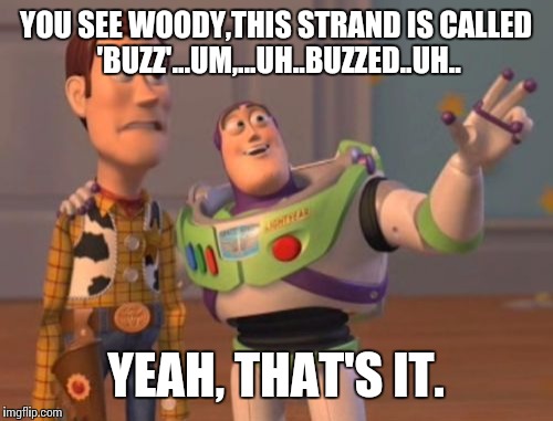 X, X Everywhere | YOU SEE WOODY,THIS STRAND IS CALLED 'BUZZ'...UM,...UH..BUZZED..UH.. YEAH, THAT'S IT. | image tagged in memes,x x everywhere | made w/ Imgflip meme maker