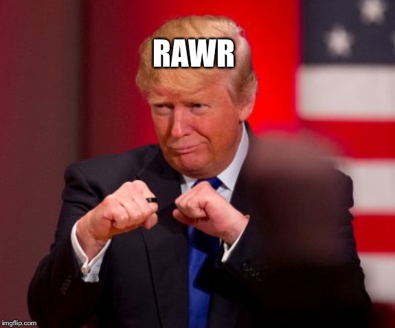 RAWR | image tagged in whore trump | made w/ Imgflip meme maker