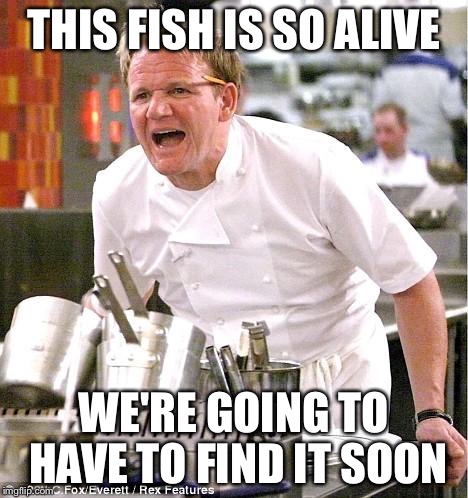 Chef Gordon Ramsay | THIS FISH IS SO ALIVE; WE'RE GOING TO HAVE TO FIND IT SOON | image tagged in memes,chef gordon ramsay | made w/ Imgflip meme maker