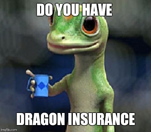 DO YOU HAVE DRAGON INSURANCE | made w/ Imgflip meme maker