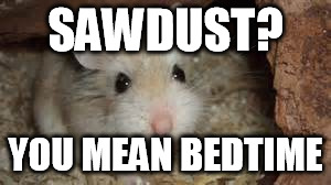 SAWDUST? YOU MEAN BEDTIME | made w/ Imgflip meme maker