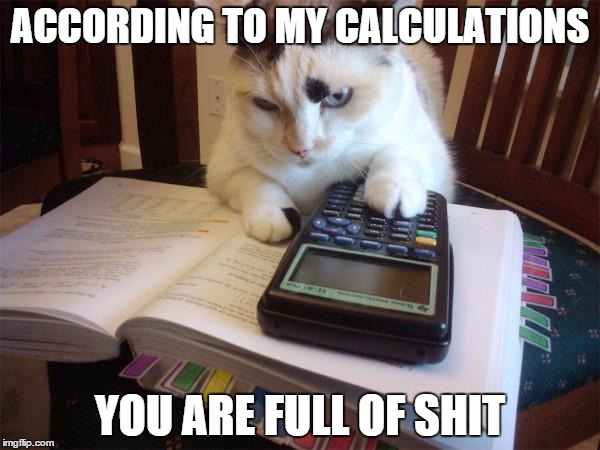 Math cat | ACCORDING TO MY CALCULATIONS; YOU ARE FULL OF SHIT | image tagged in math cat | made w/ Imgflip meme maker