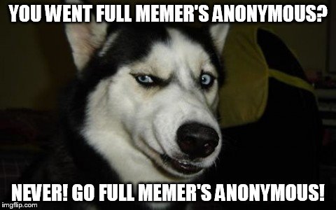 YOU WENT FULL MEMER'S ANONYMOUS? NEVER! GO FULL MEMER'S ANONYMOUS! | made w/ Imgflip meme maker