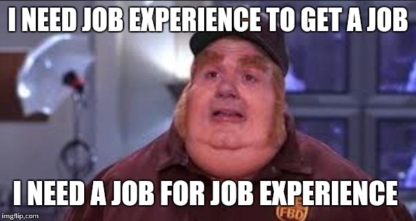 Fat Bastard | I NEED JOB EXPERIENCE TO GET A JOB; I NEED A JOB FOR JOB EXPERIENCE | image tagged in fat bastard,AdviceAnimals | made w/ Imgflip meme maker