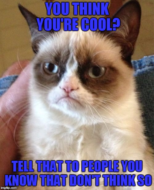 Grumpy Cat | YOU THINK YOU'RE COOL? TELL THAT TO PEOPLE YOU KNOW THAT DON'T THINK SO | image tagged in memes,grumpy cat | made w/ Imgflip meme maker