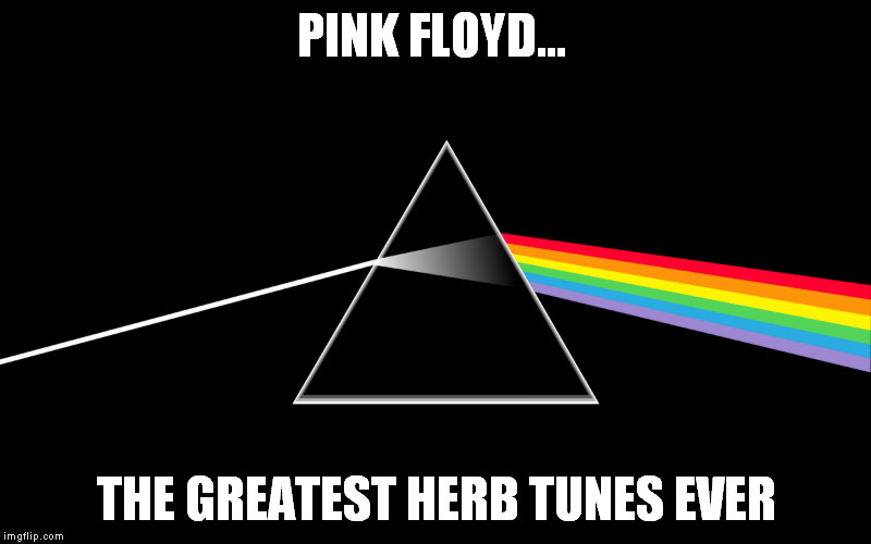 PINK FLOYD... THE GREATEST HERB TUNES EVER | made w/ Imgflip meme maker