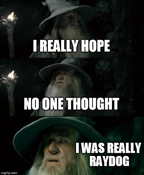 Confused Gandalf Meme | I REALLY HOPE; NO ONE THOUGHT; I WAS REALLY RAYDOG | image tagged in memes,confused gandalf | made w/ Imgflip meme maker