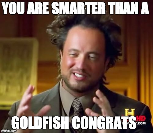 Ancient Aliens | YOU ARE SMARTER THAN A; GOLDFISH CONGRATS | image tagged in memes,ancient aliens | made w/ Imgflip meme maker